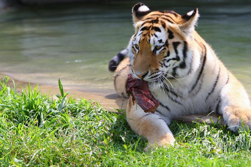 2008-08-05 11.05.05.JPG